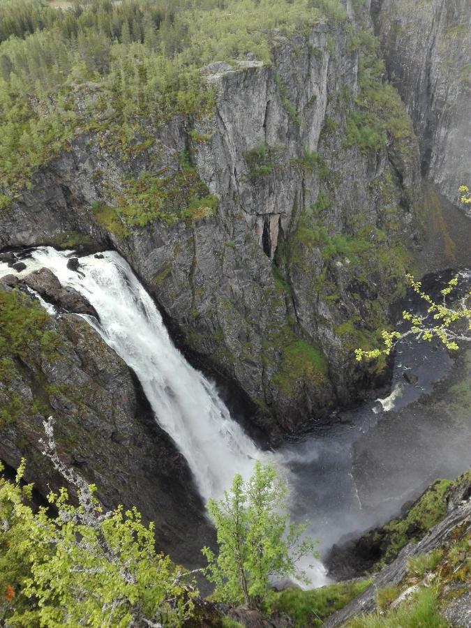 Liseth Pensjonat Og Hyttetun Eidfjord Exteriér fotografie